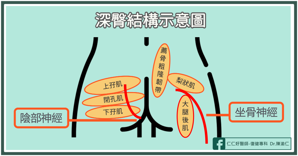 深臀症候群